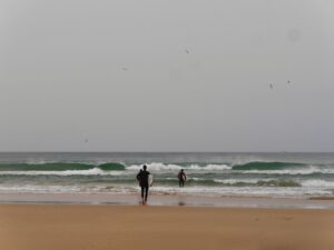 early birds surf guide algarve zavial