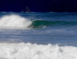 perfect lefts with surf guide algarve and no one else