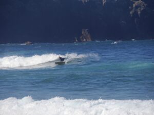 twin fin cutback surfing west coast with surf guide algarve and friends