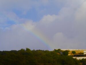 rainbows in june with surf guide algarve