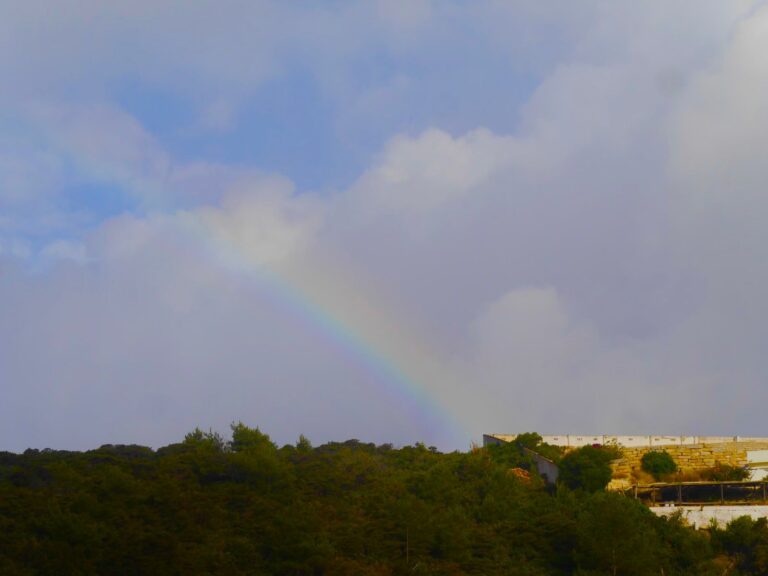 rainbows in june with surf guide algarve
