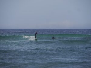 surfing castelejo small wave fun with surf guide algarve