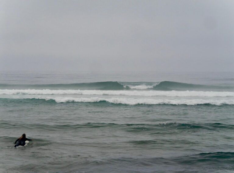 magic surf day with surf guide algarve