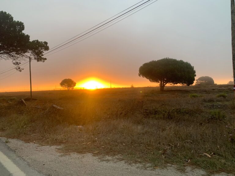 surf guide algarve dawn patrol sunrise