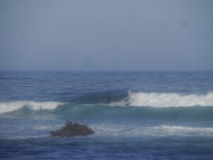 surfing in front of the rocks with surf guide algarve in cordoama