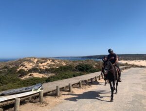 arriving at the beach in style, surf guide algarve sharing the stoke at carrapateira