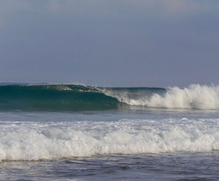 empty waves surf guide algarve