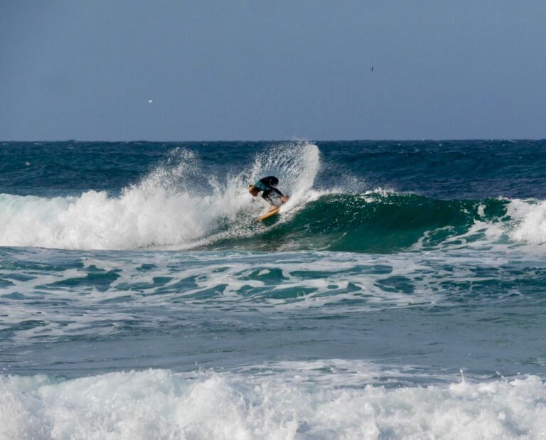 surf guide algarve on the new twin fin