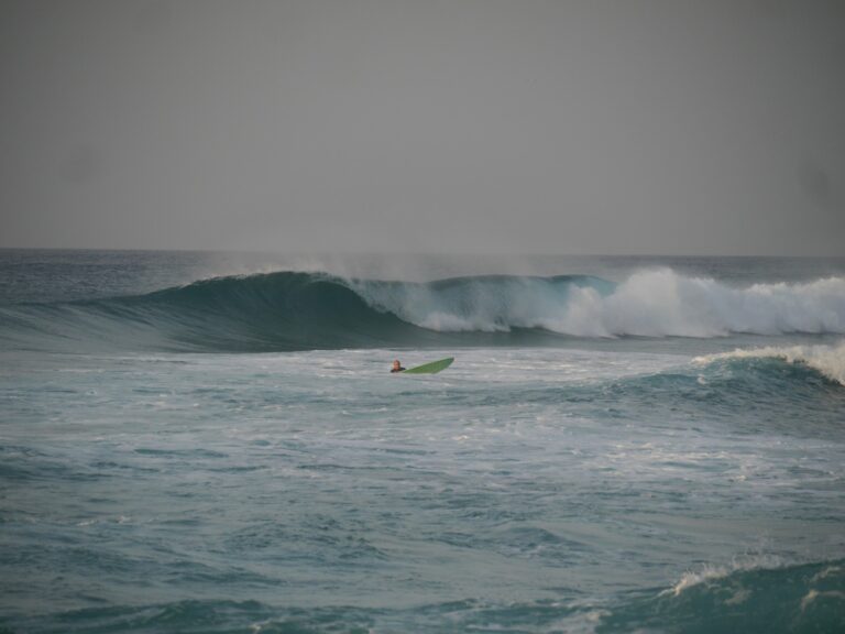 fomo session west coast surf guide algarve and friend solo