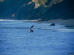 surf guide algarve stoke at cordoama