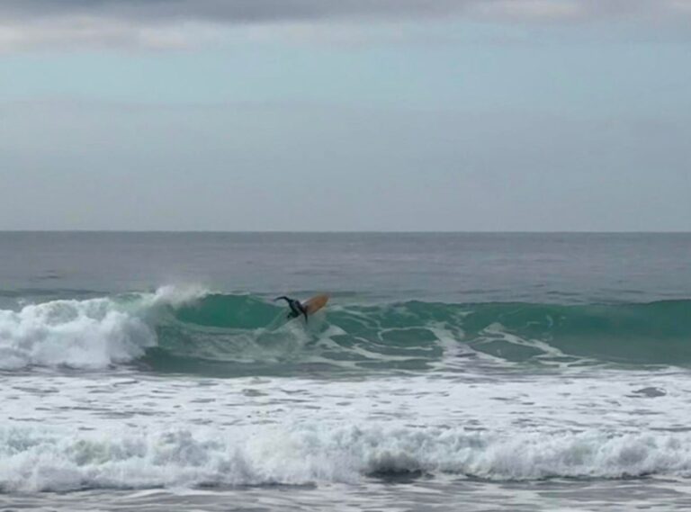 backside snap surf guide algarve at Porto de Mos Lagos