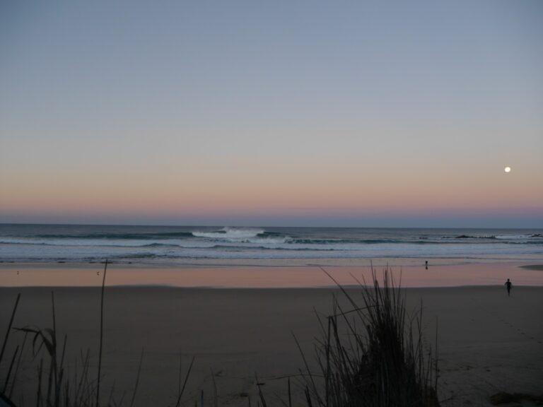 epic west coast full moon with surf guide algarve