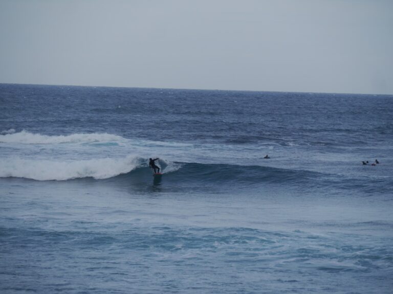 foamy style surf guide algarve friend