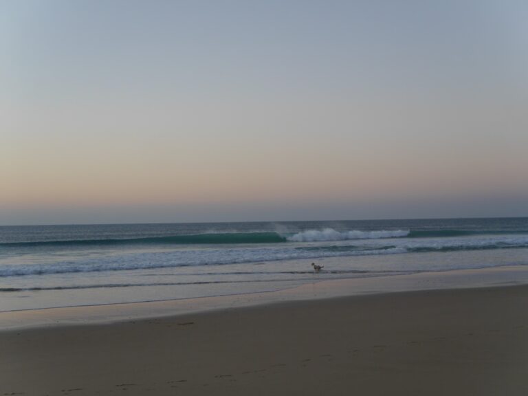 porto de mos empty wave perfection with surf guide algarve