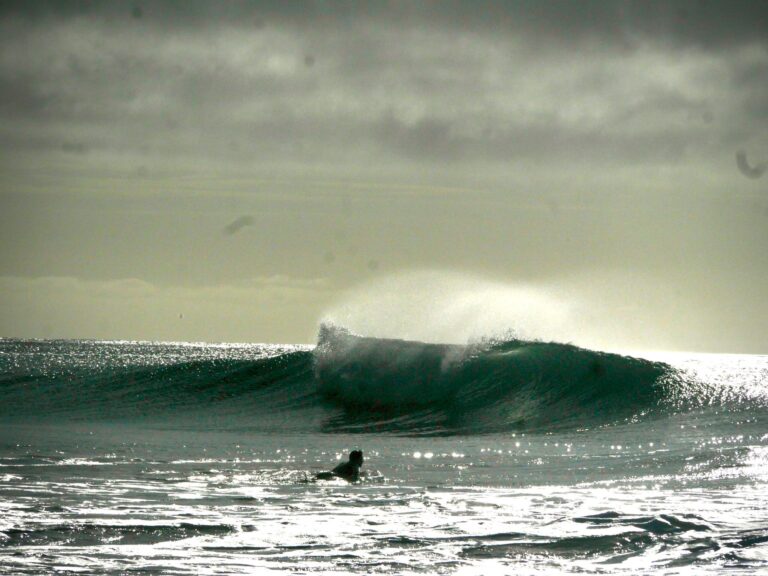 magic waves with surf guide algarve