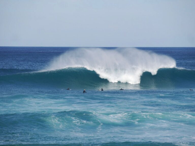 perfect waves for the stepup surf guide algarve west coast