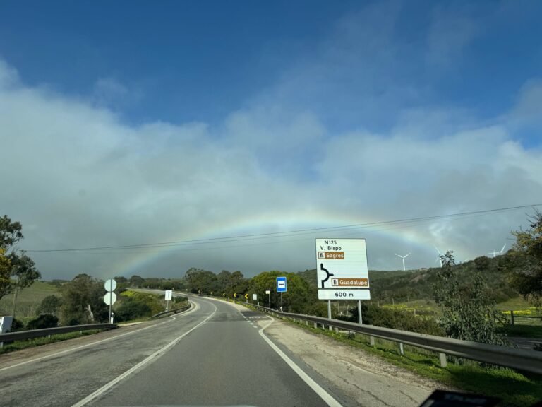 rainbow road surf guide algarve.