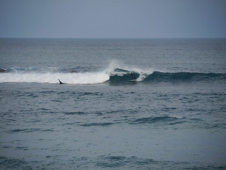 big turn by the professor, surf guide alagrve and friends