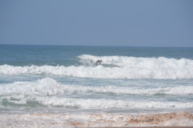 sunny side up with surf guide algarve and friends